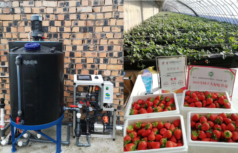 simple and quick type Fertilizing machine