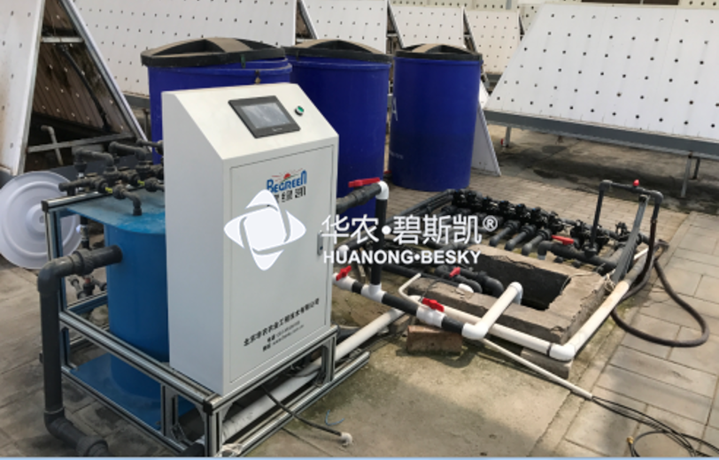 Project for whole package programme