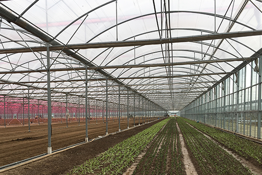 Gear and rack drive inner and outer sunshade system-Shanghai project