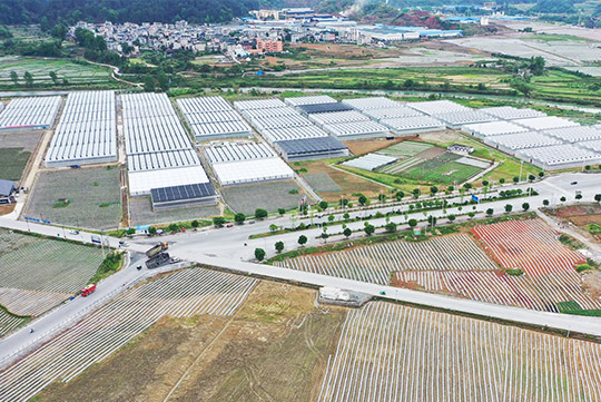 Greenhouse engineering and equipment technology R&D enterprise