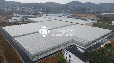 贵阳楠木渡育苗中心