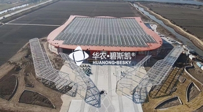 裕丰郁金香产学研基地