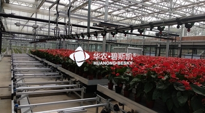 河南盆栽花卉温室项目