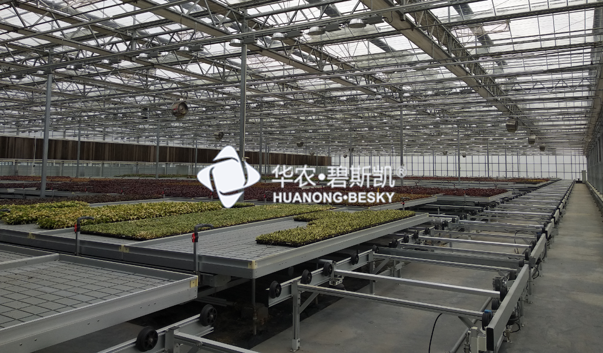 Full-automatic logistics and cultivation system