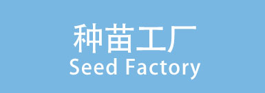 种苗工厂