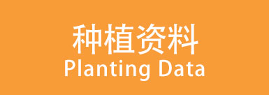 种植资料