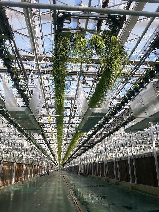 荷兰METAZET悬挂链系统2