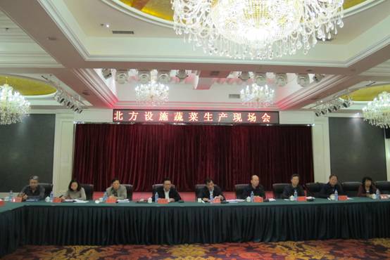 我所参加农业部北方设施蔬菜生产现场会