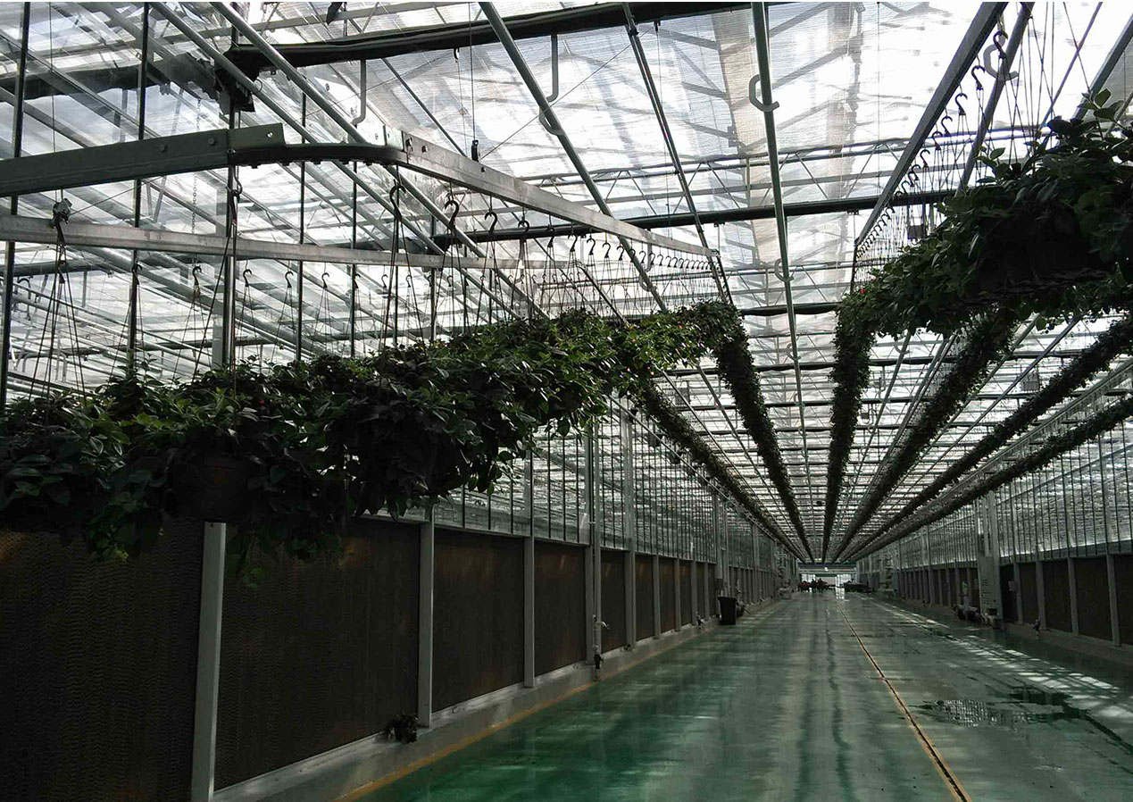 悬挂链式运动系统