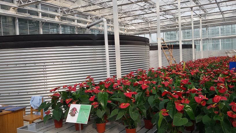 园艺水罐-河南项目