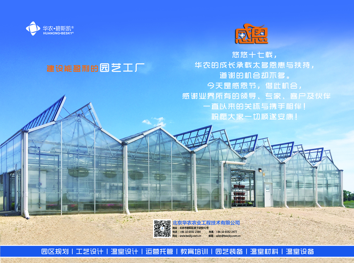 暖心感恩季，以创新回馈客户！