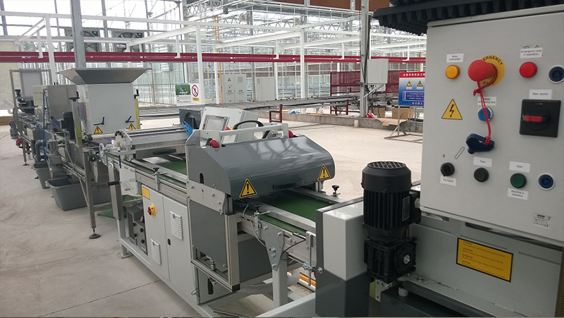 华农-上海项目-播种线2