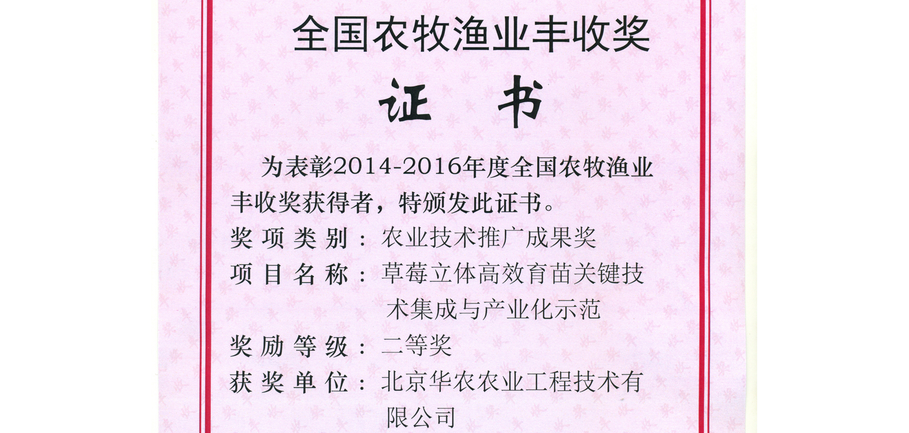 关注华农｜我公司草莓高架育苗设备获得全国农牧渔业丰收奖