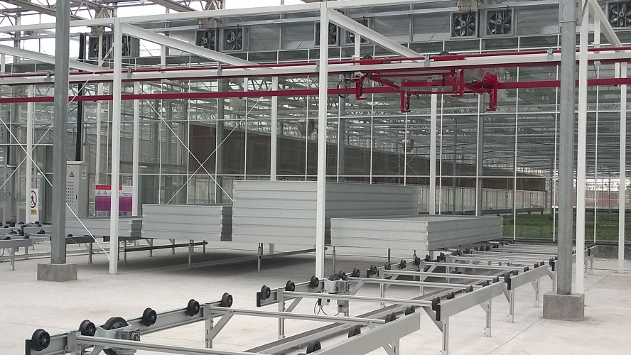 华农-上海项目-物流线及苗床堆垛线